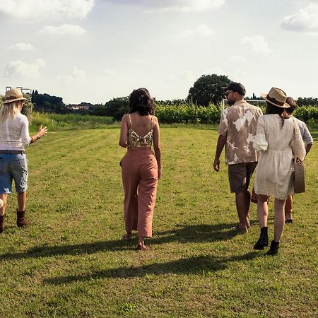 Agriturismo I Mischi Кастелнуово дел Гарда Екстериор снимка