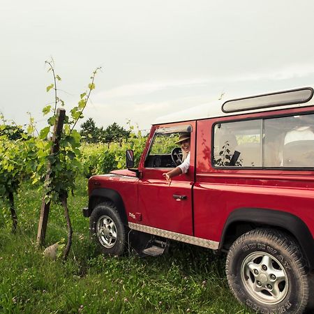 Agriturismo I Mischi Кастелнуово дел Гарда Екстериор снимка