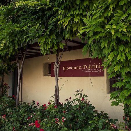 Agriturismo I Mischi Кастелнуово дел Гарда Екстериор снимка