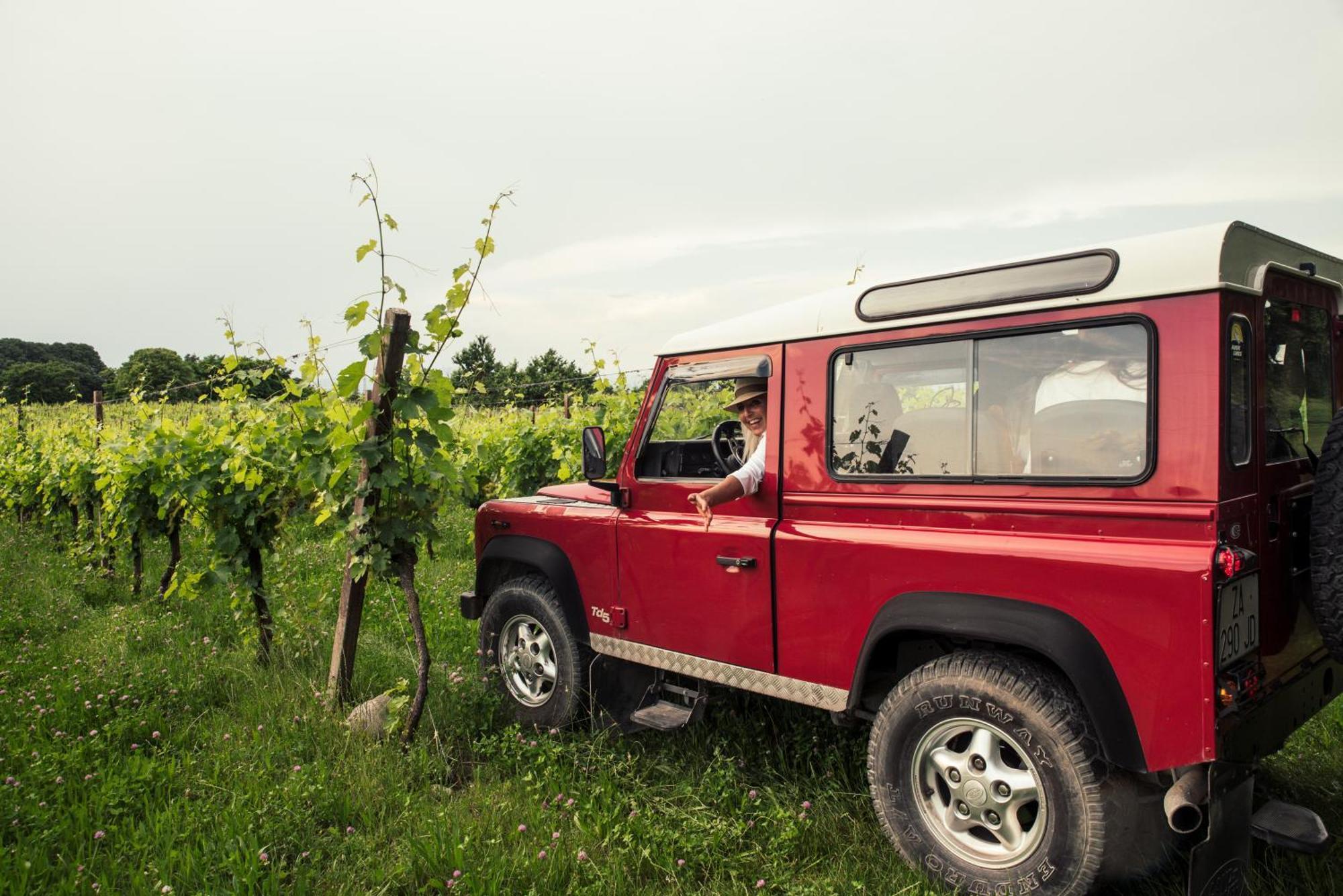 Agriturismo I Mischi Кастелнуово дел Гарда Екстериор снимка