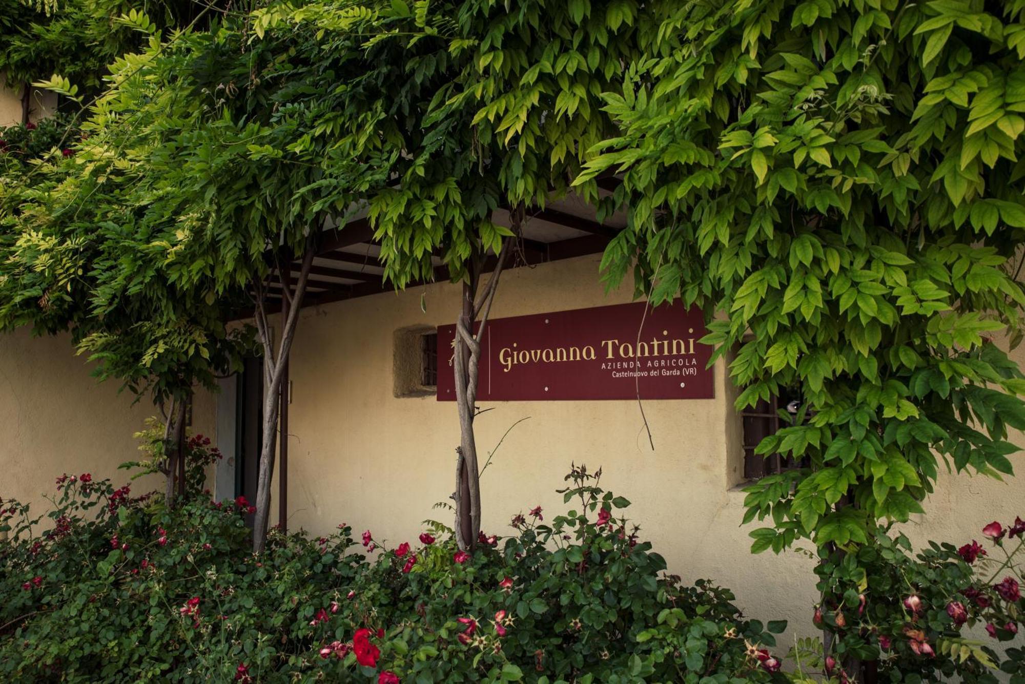 Agriturismo I Mischi Кастелнуово дел Гарда Екстериор снимка