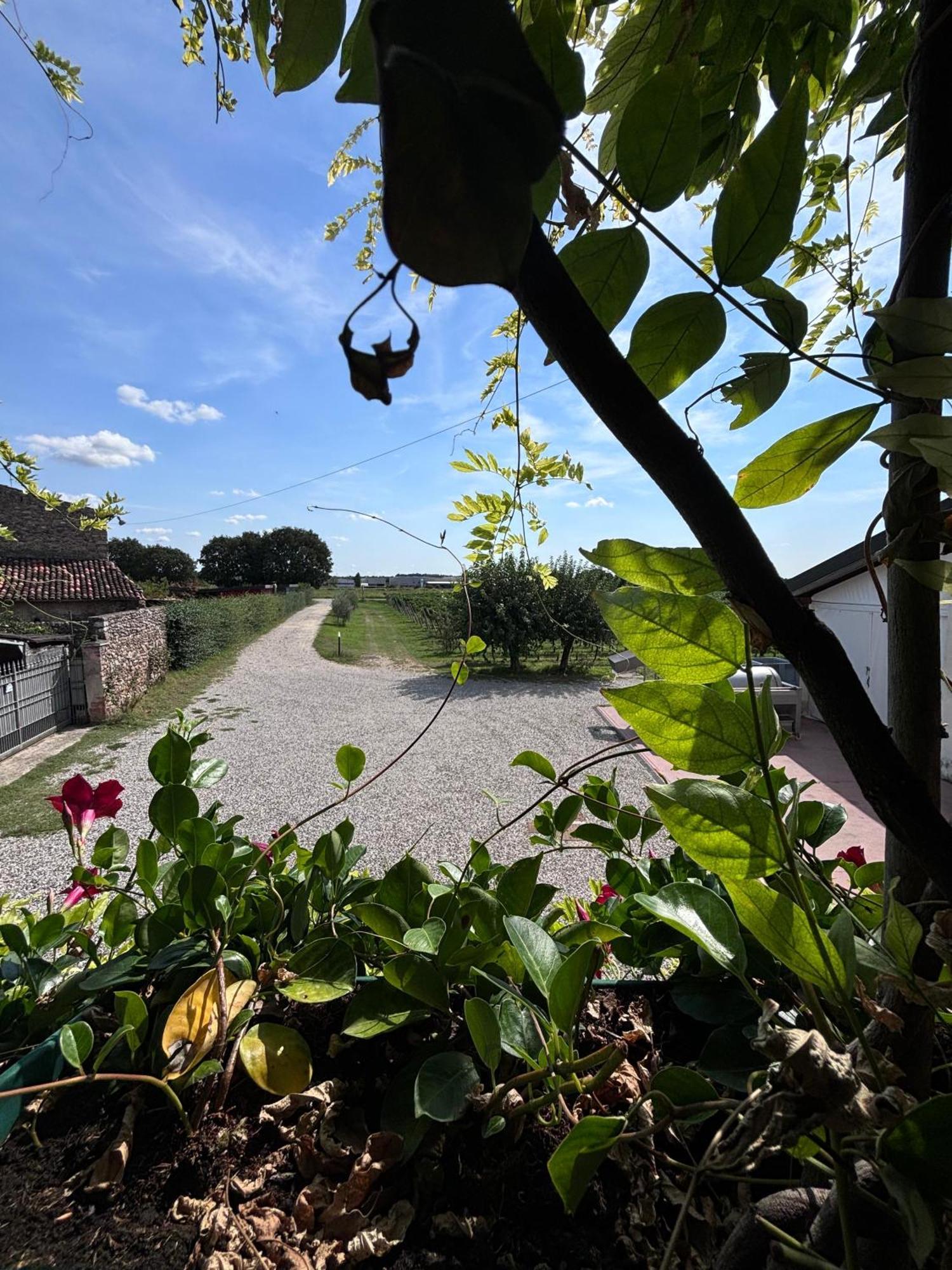 Agriturismo I Mischi Кастелнуово дел Гарда Екстериор снимка