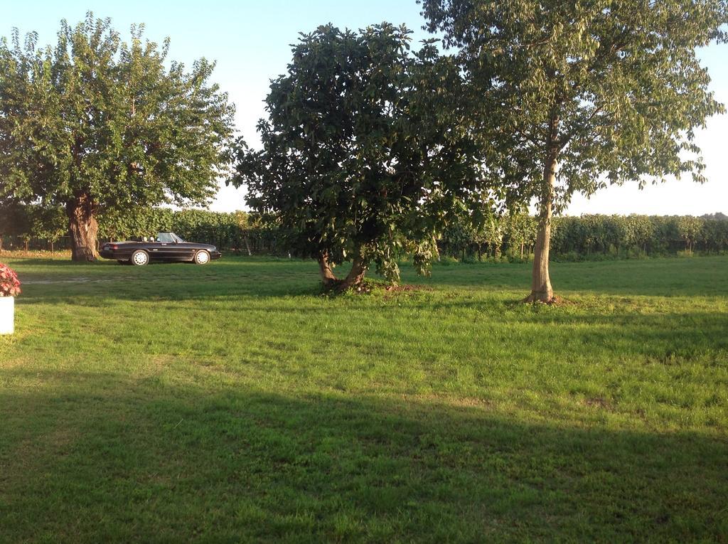 Agriturismo I Mischi Кастелнуово дел Гарда Екстериор снимка